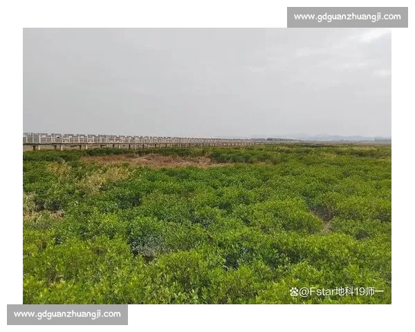 密云生态文明建设与绿色产业融合发展路径研究